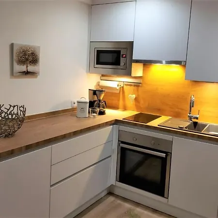 Bodensee Claudia 1 公寓 腓特烈港