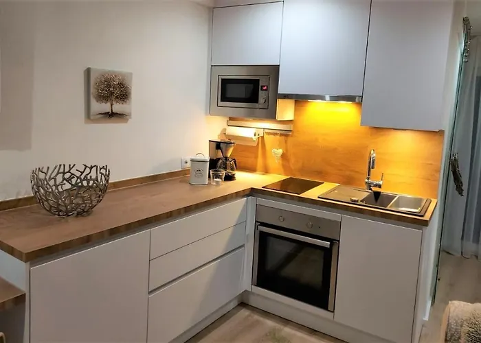 Bodensee Claudia 1 公寓 腓特烈港