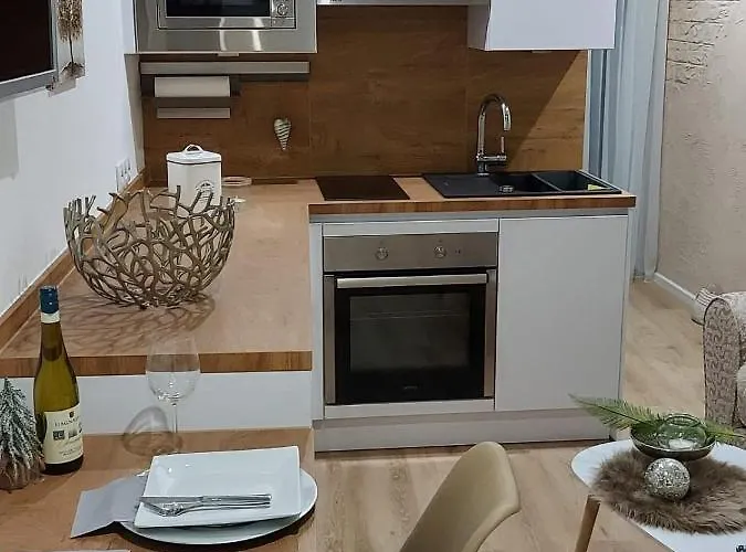 Bodensee Claudia 1 腓特烈港