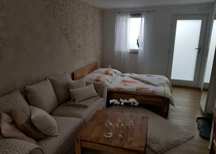 公寓 Bodensee Claudia 1 *